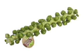 Spruiten aan de stok